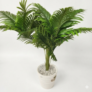 PLANTE PALMIER ARECA 1.1M DELUXE BEDEC FLOWR