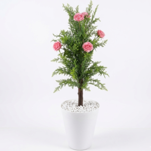 PLANTE ARBRE CALME BEDEC